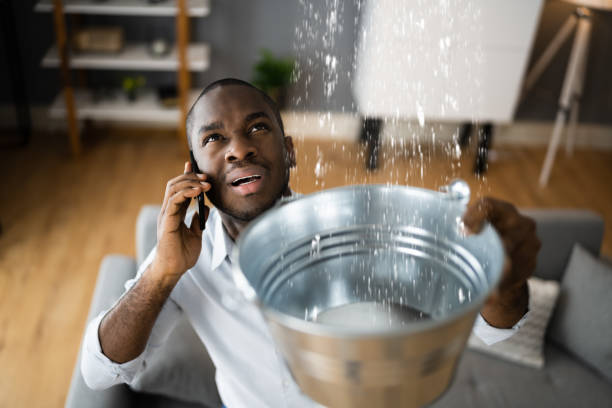  Calverton, NY Water damage restoration Pros