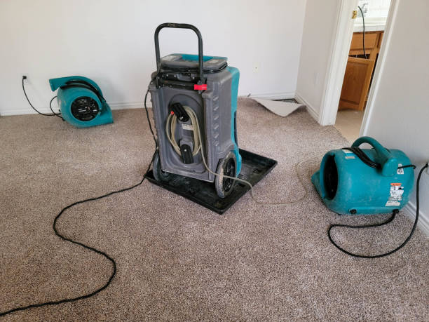 Best Carpet water damage restoration  in Calverton, NY
