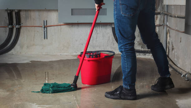 Best Local water damage restoration  in Calverton, NY