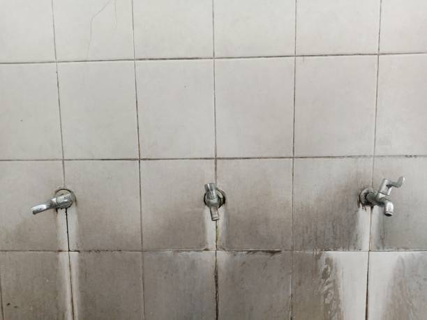 Best Water damage restoration near me  in Calverton, NY