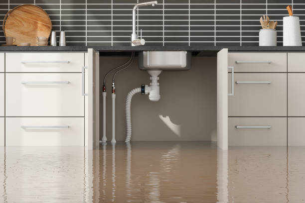 Best Residential water damage restoration  in Calverton, NY