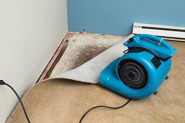 Best Water damage restoration near me  in Calverton, NY
